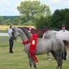 "Pride of Poland", Janów Podlaski, 9-10 sierpnia 2008 r. 